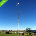 Home Wind Power 600W 24V